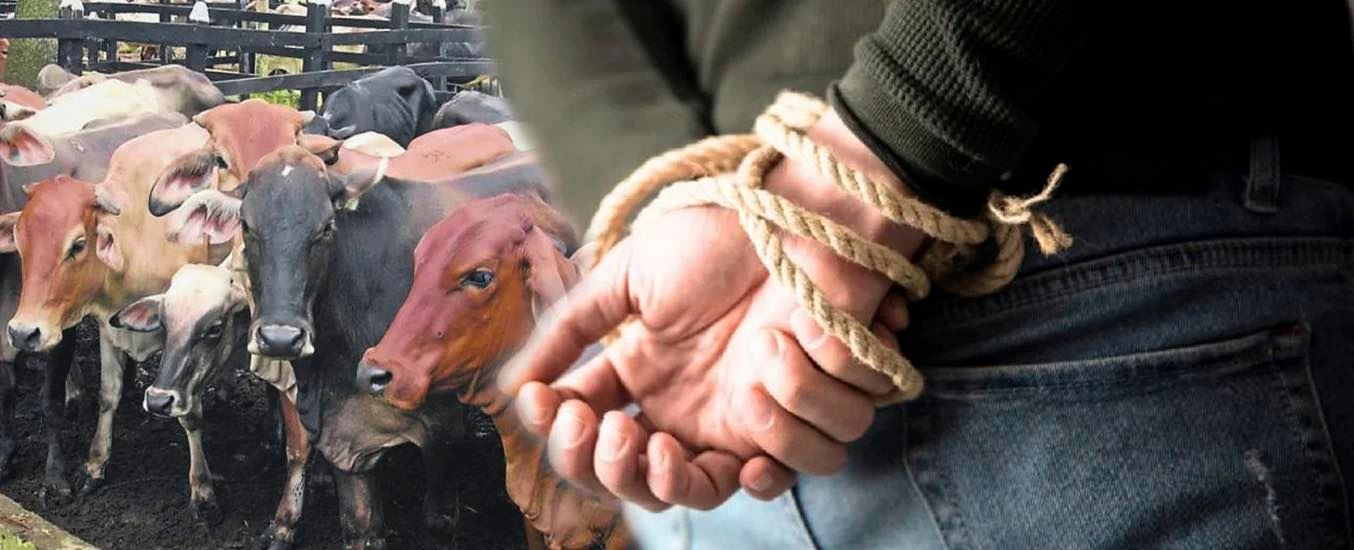 Ganaderos de Querétaro alertan por intentos de extorsión telefónica