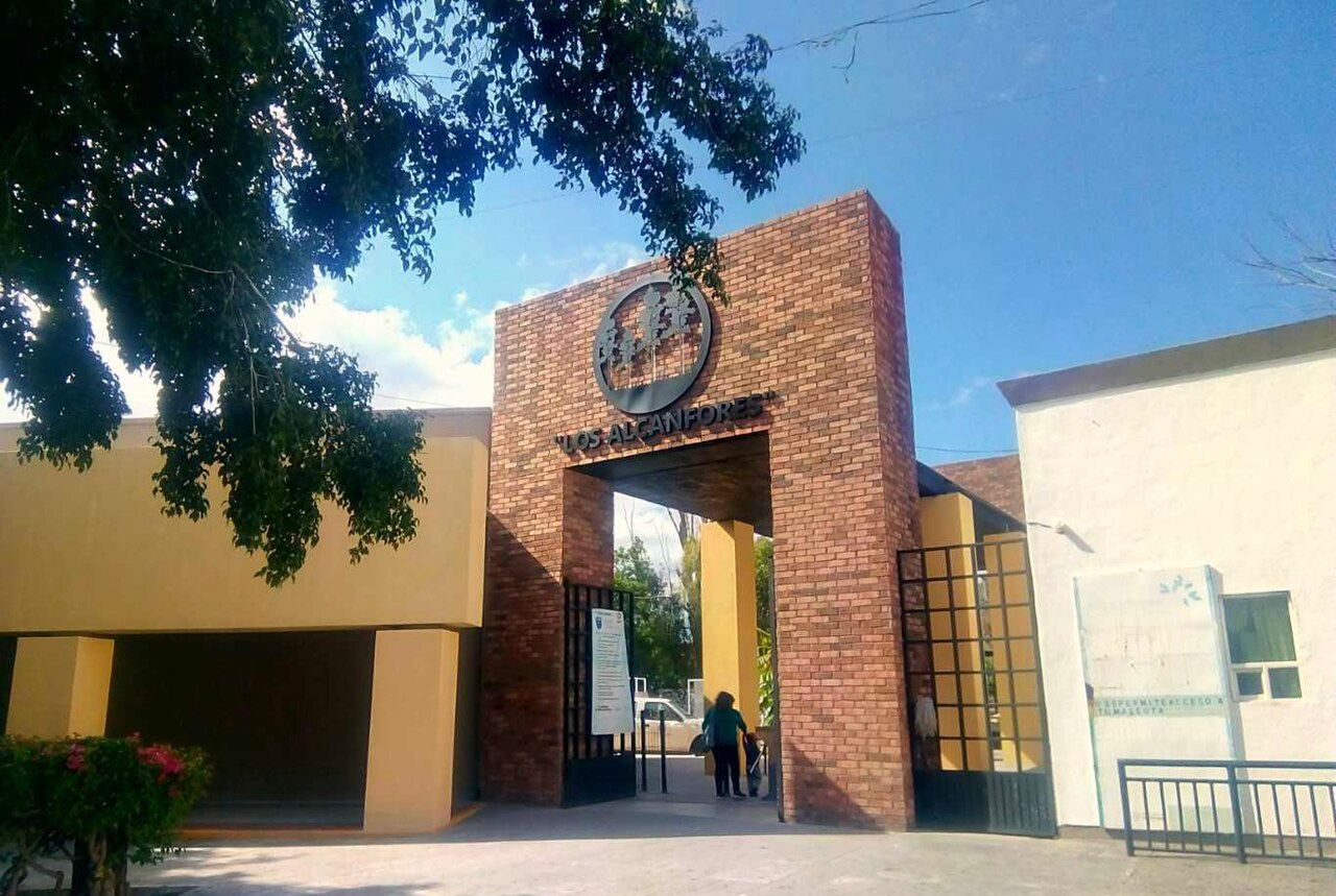 Confirma Gobierno estatal decreto para proteger el Parque Los Alcanfores